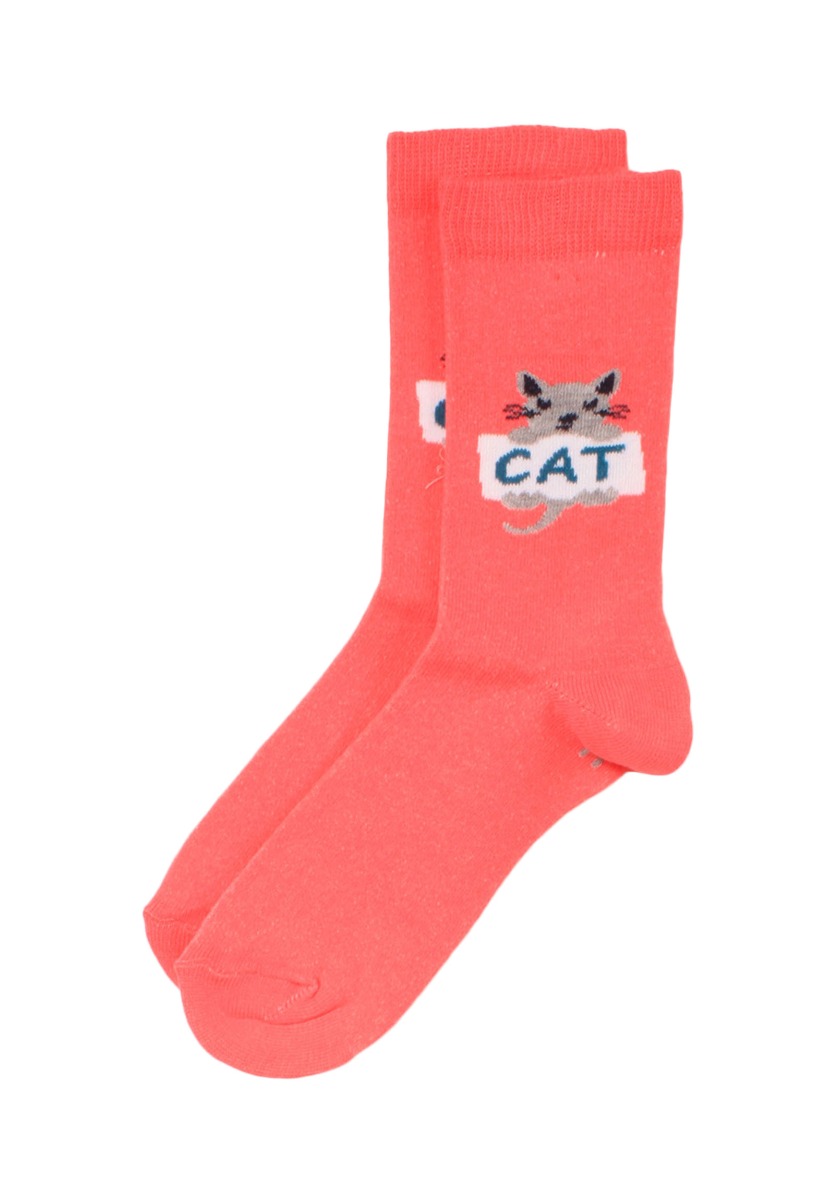 Κάλτσες παιδικές Cats Design 6 Τεμ. 5511656 φωτογραφία