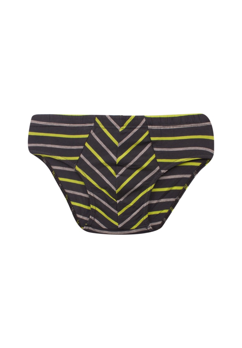 Σλιπ παιδικά Flashy Stripes 5 τεμ W2176164 φωτογραφία