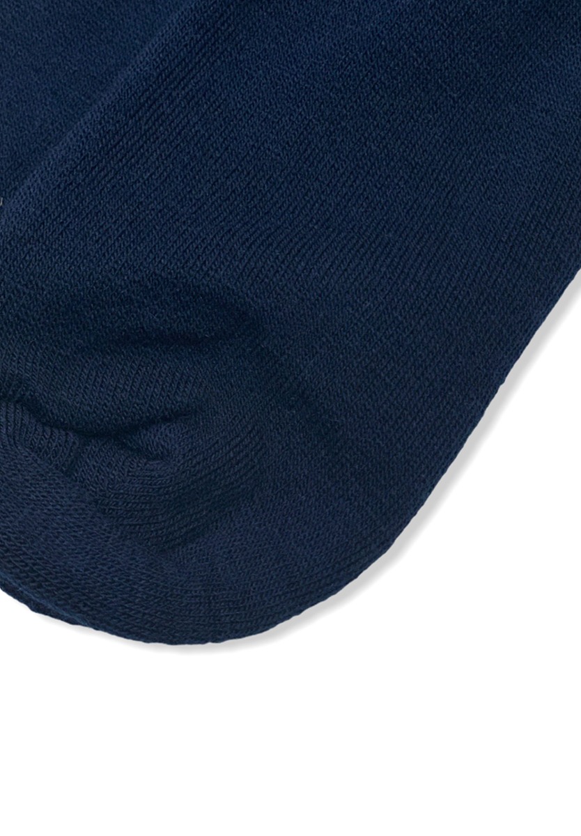 Κάλτσες ανδρικές θερμικές Lamswool Μπλέ W21LAMSWOOL2 φωτογραφία