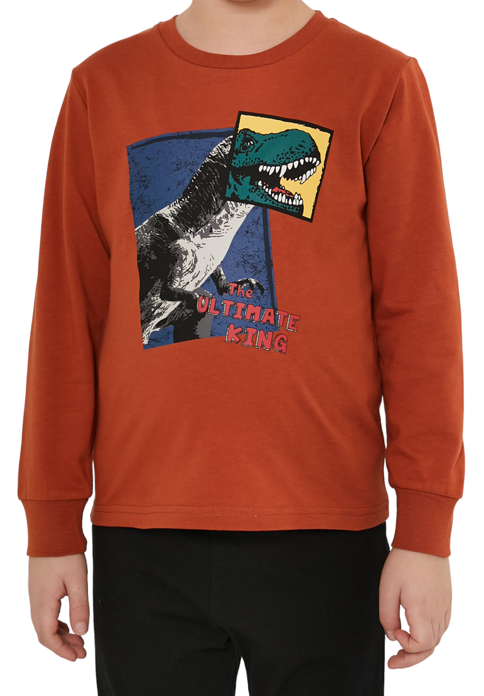 Πιτζάμα εφηβική Rolypoly Dyno RP3191B-Κεραμιδί φωτογραφία